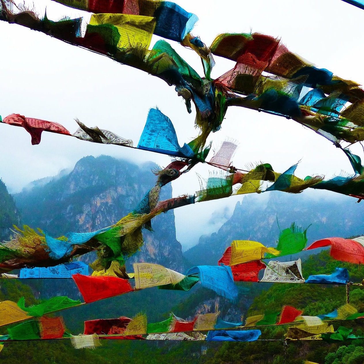 Foundations of Meditation